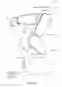 Fig. 11 - ROBOT, ROBOT SYSTEM, AND ROBOT CONTROL DEVICE