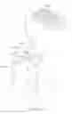 Fig. 13 - ROBOT, ROBOT SYSTEM, AND ROBOT CONTROL DEVICE