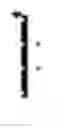 Fig. 35 - Character and function recognition apparatus and method for dual function of input and output in character output area