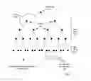 Fig. 08 - Administering virtual machines in a distributed computing environment