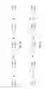 Fig. 09 - Database evaluation of anchored length-limited path expressions