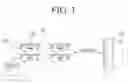 Fig. 02 - Machine learning method and apparatus based on weakly supervised learning