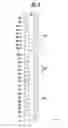 Fig. 09 - Memory device and method of operating the same to prevent occurrence of read fail by adjusting bit line voltage