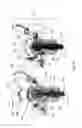 Fig. 19 - PRODUCTION OF MOLYBDENUM-99 USING ELECTRON BEAMS