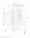 Fig. 11 - Interconnect structure and methods thereof