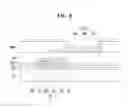Fig. 06 - Display device