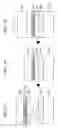 Fig. 03 - TRANSPARENT ELECTRODE AND MANUFACTURING METHOD THEREOF