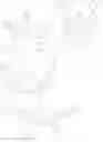 Fig. 240 - Organic molecules for use in optoelectronic devices