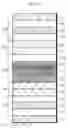 Fig. 02 - White organic light emitting diode and display including the same
