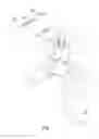Fig. 02 - Crimping hand tool