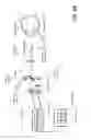 Fig. 12 - Ophthalmic illumination system with controlled chromaticity