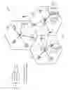 Fig. 02 - Overlapping cluster architecture for coordinated multipoint (CoMP)
