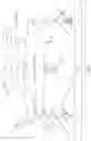 Fig. 02 - Dynamic deployment of executable recognition resources in distributed camera devices
