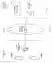 Fig. 07 - Methods and apparatus to utilize minimum cross entropy to calculate granular data of a region based on another region for media audience measurement