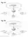 Fig. 02 - Dynamic direct multinode (DDM) wireless network