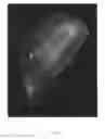Fig. 06 - Wolffia plant named 'MANKAI'