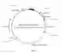 Fig. 04 - Recombinant constructs and transgenic fluorescent ornamental fish therefrom