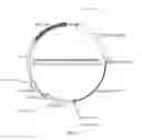 Fig. 06 - Recombinant constructs and transgenic fluorescent ornamental fish therefrom