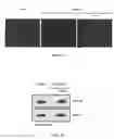 Fig. 07 - Transgenic mouse capable of spatial and temporal control of expression and site-specific modification of target protein, production method and uses thereof