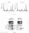 Fig. 08 - Transgenic mouse capable of spatial and temporal control of expression and site-specific modification of target protein, production method and uses thereof
