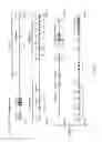 Fig. 02 - Human lambda light chain mice
