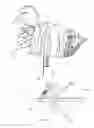 Fig. 03 - PORTABLE ANIMAL DECOY