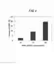 Fig. 04 - Smoking article with filter and filter of smoking article