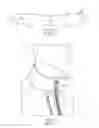 Fig. 06 - Golf jacket having weather-protective collar