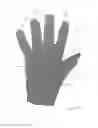 Fig. 02 - TECHNICAL KNIT GLOVE