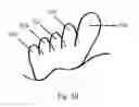 Fig. 10 - SHOE ADAPTED TO THE SHAPE OF THE FOOT