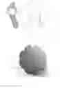 Fig. 02 - Universal Footpad