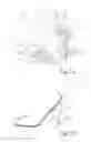 Fig. 02 - SHOE HAVING A SPINAL DISK MATERIAL DAMPING ELEMENT