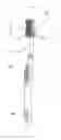 Fig. 01 - Oral care instrument