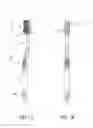 Fig. 02 - Oral care instrument