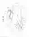 Fig. 85 - Buttocks wiping device