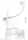 Fig. 09 - Flexible tube insertion apparatus