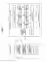 Fig. 02 - Device and method for sequential posture identification and autonomic function information acquisition