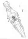 Fig. 06 - Hemostatic device and its methods of use