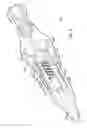 Fig. 07 - Hemostatic device and its methods of use