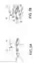 Fig. 06 - Surgical instruments with multiple degrees of freedom and methods of using the same