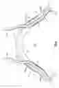 Fig. 05 - FLEXIBLE CONSTRUCTS