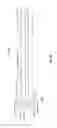 Fig. 25 - Surgical instrument including a locking assembly