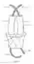 Fig. 09 - Apparatus and method for minimally invasive surgery