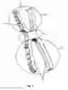Fig. 02 - Osteosynthesis device