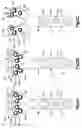 Fig. 03 - Variable angle bone plate