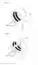 Fig. 08 - Systems and methods for renal denervation