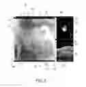 Fig. 06 - Visualization apparatus