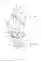 Fig. 10 - Systems and methods for prosthetic wrist rotation