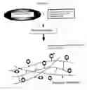 Fig. 02 - Antimicrobial polymer for use in ophthalmic implants