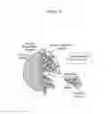 Fig. 11 - Topical pharmaceutical compositions